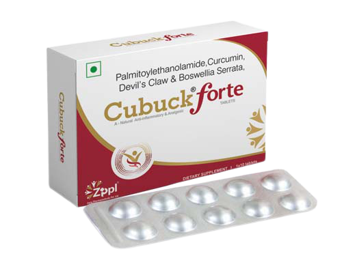 Cubuck Forte 